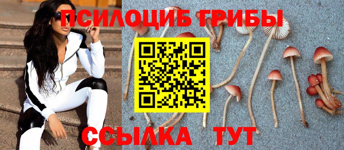 Псилоцибиновые грибы Psilocybine cubensis Волгоград